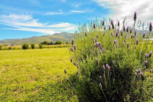 Lodge Caba�as De Las Pinturas