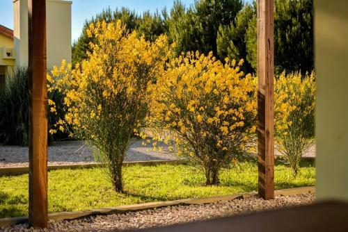 Lodge Caba�as De Las Pinturas