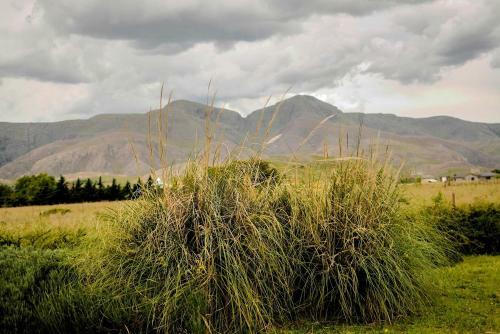 Lodge Caba�as De Las Pinturas