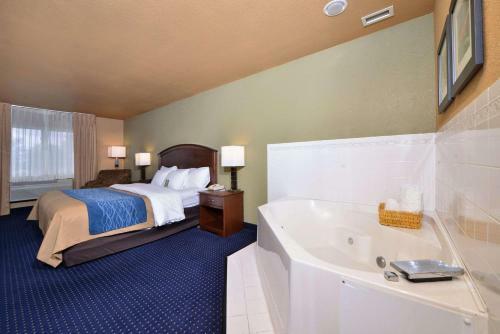 Hotel Comfort Inn Albert Lea