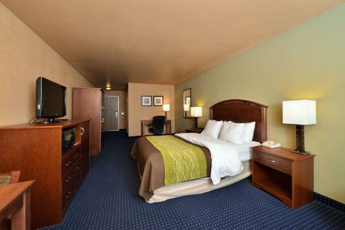 Hotel Comfort Inn Albert Lea