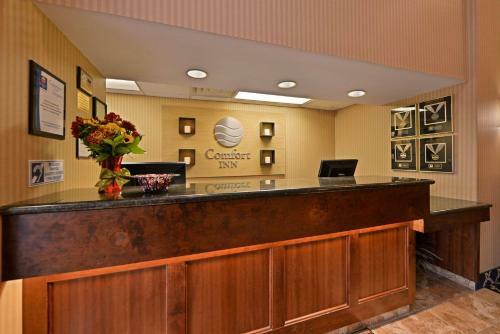 Hotel Comfort Inn Albert Lea
