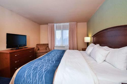 Hotel Comfort Inn Albert Lea