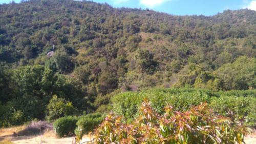 Agroturismo Parcela Santa Teresa