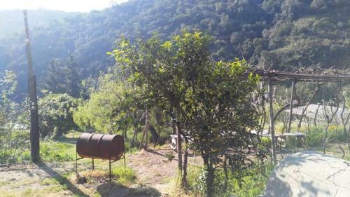 Agroturismo Parcela Santa Teresa