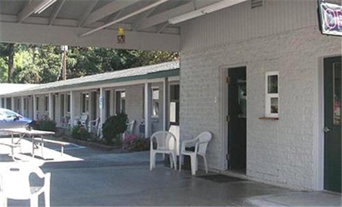 Forest Lodge Motel