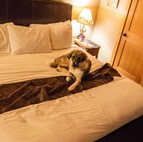 Hotel Twisp River Suites