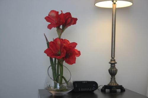 Andante G�te Bed And Breakfast