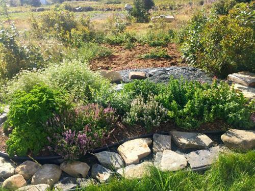 Ochre House Retreat
