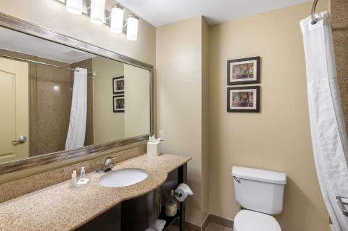 Hotel La Quinta Inn & Suites Cedar Hill