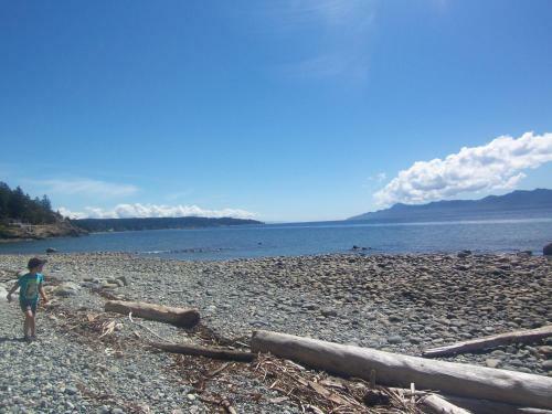 Hostal Malaspina Strait Cottage