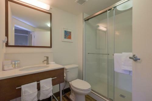 Hotel Hampton Inn Edenton