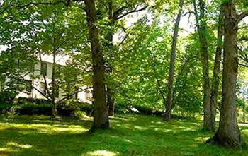 Bed & Breakfast Black Mountain Inn