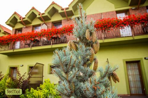 Hostal Penzion Termal
