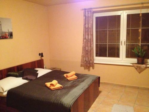 Hostal Asso Penzion
