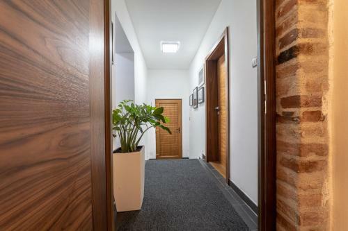 Agroturismo Villa Jochmann