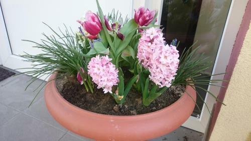 Hotel Penzion Zornicka