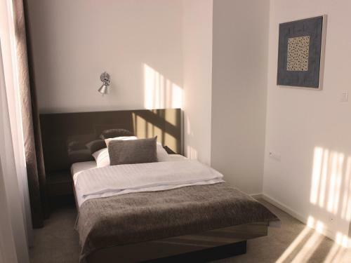 Hotel Lev