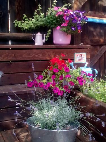 Apartman U Adamov