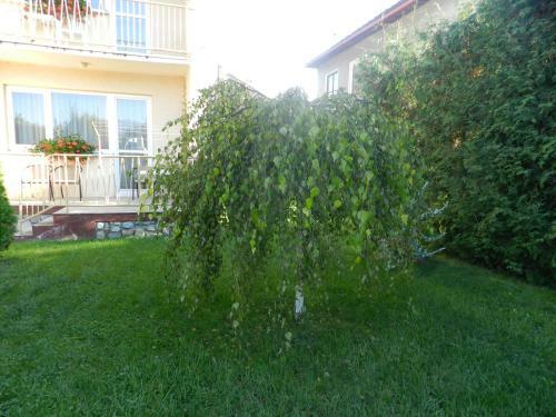 Apartm�ny Horalka