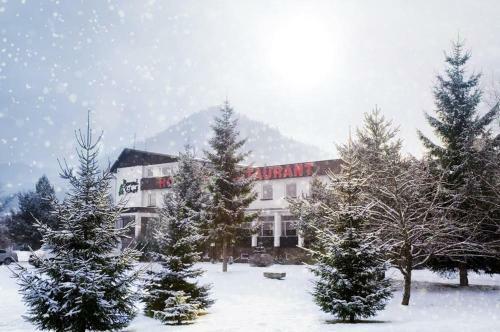 Hotel Borova Sihot