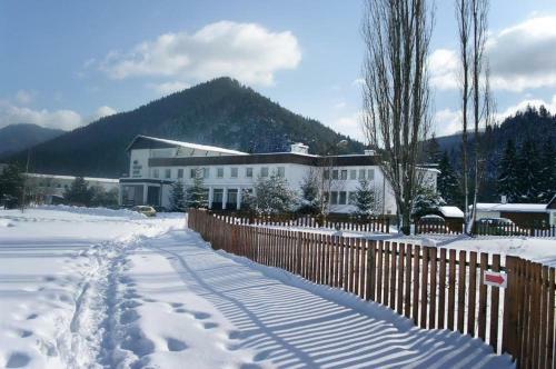 Hotel Borova Sihot