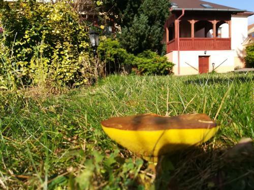 Bed & Breakfast Penzi�n Rodina