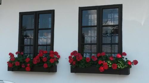 Hostal Privat Lena