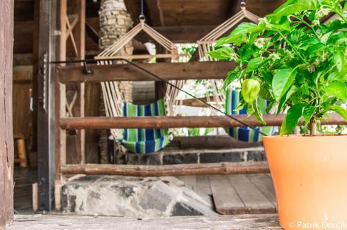 Hostal Penzion Vila Milica