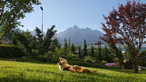 Apartment Privat Luna