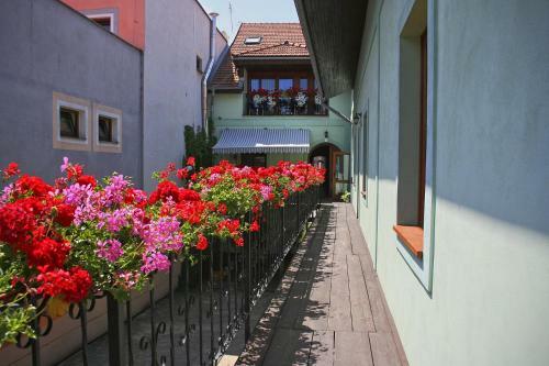 Hostal Penzi�n Bella Sicilia