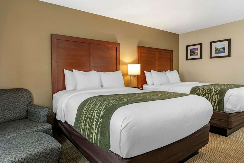 Hotel Comfort Inn & Suites Dimondale