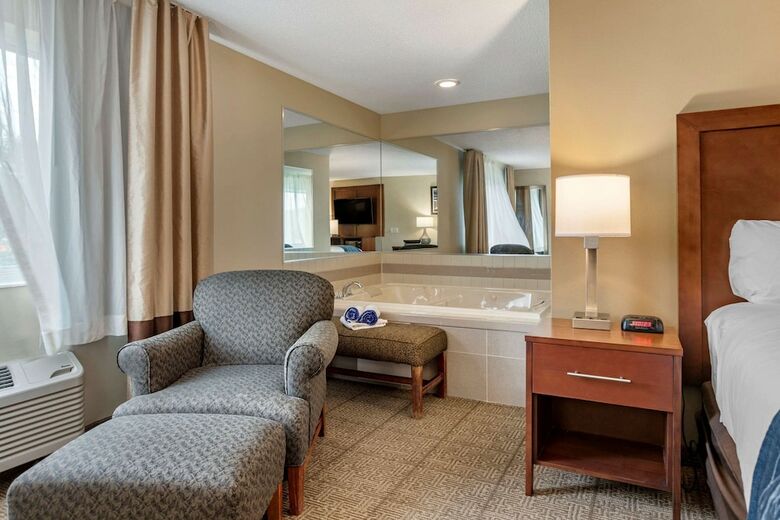 Hotel Comfort Inn & Suites Dimondale