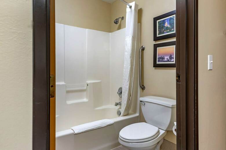 Hotel Comfort Inn & Suites Dimondale