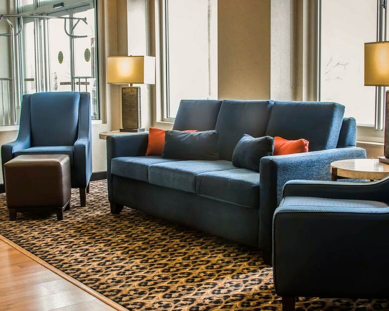 Hotel Comfort Inn & Suites Dimondale