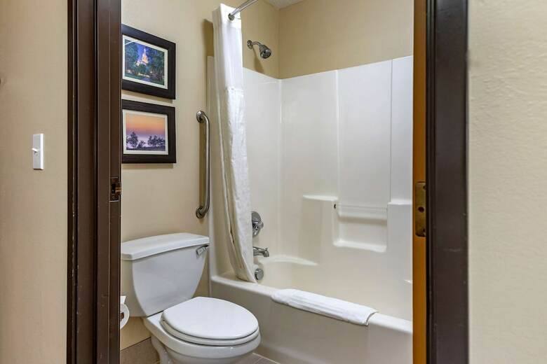 Hotel Comfort Inn & Suites Dimondale