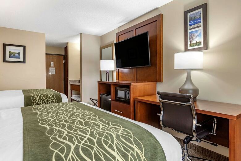 Hotel Comfort Inn & Suites Dimondale
