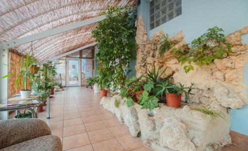 Hostal Penzi�n Exclusive