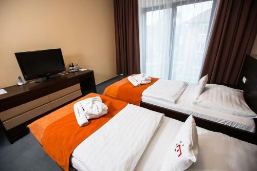 Hotel Magnus Tren?�n
