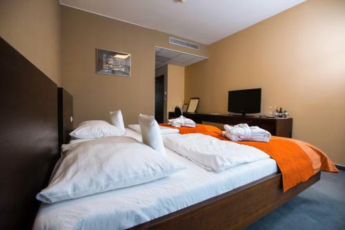 Hotel Magnus Tren?�n