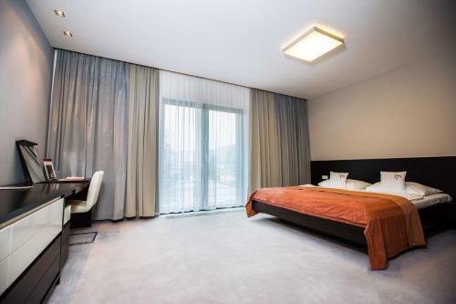 Hotel Magnus Tren?�n
