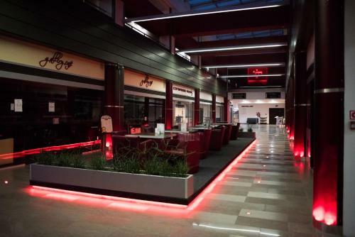 Hotel Magnus Tren?�n