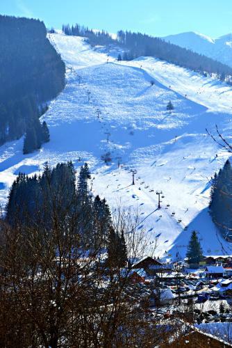 Hotel Pod Sokol�m