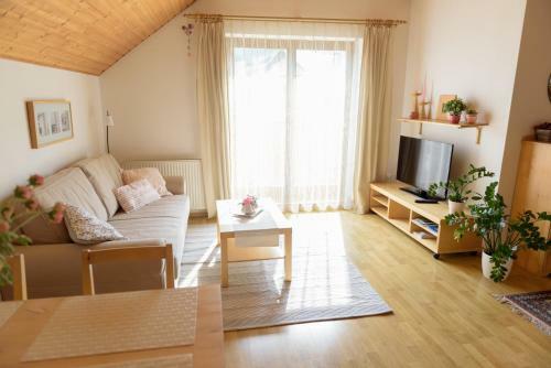 Apartamentos ?lt� Dom