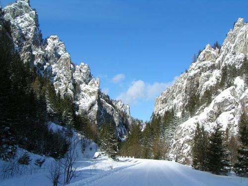 Hotel Gold