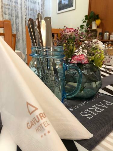 Garni Hotel Gavurky