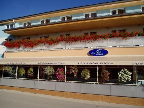 Hotel Penzion Anton
