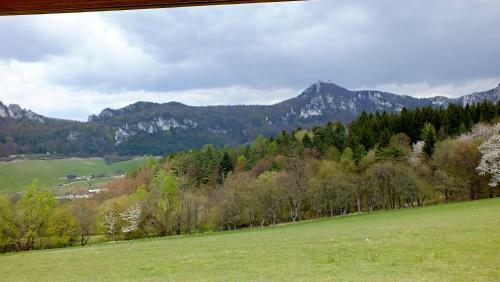 Hostal Penzi�n ?tef�nik