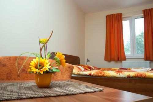 Hostal Penzi�n Max