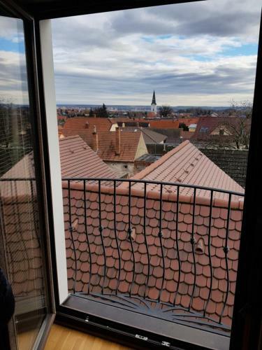 Bed & Breakfast Villa Vinica